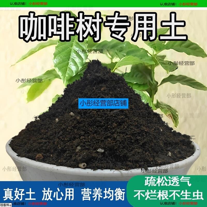 咖啡树专用土咖啡树营养土家用种植土壤家庭盆栽种花养花有机土