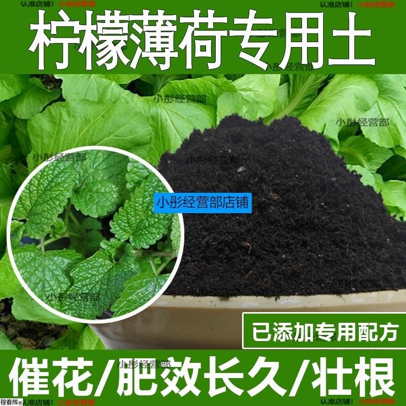 柠檬薄荷专用土柠檬薄荷专用营养土酸性土种植土通用土有机土肥料