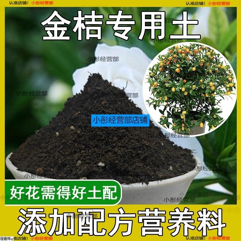 金桔专用土橘子树专用营养土盆栽养花种花土通用种植有机土壤肥料