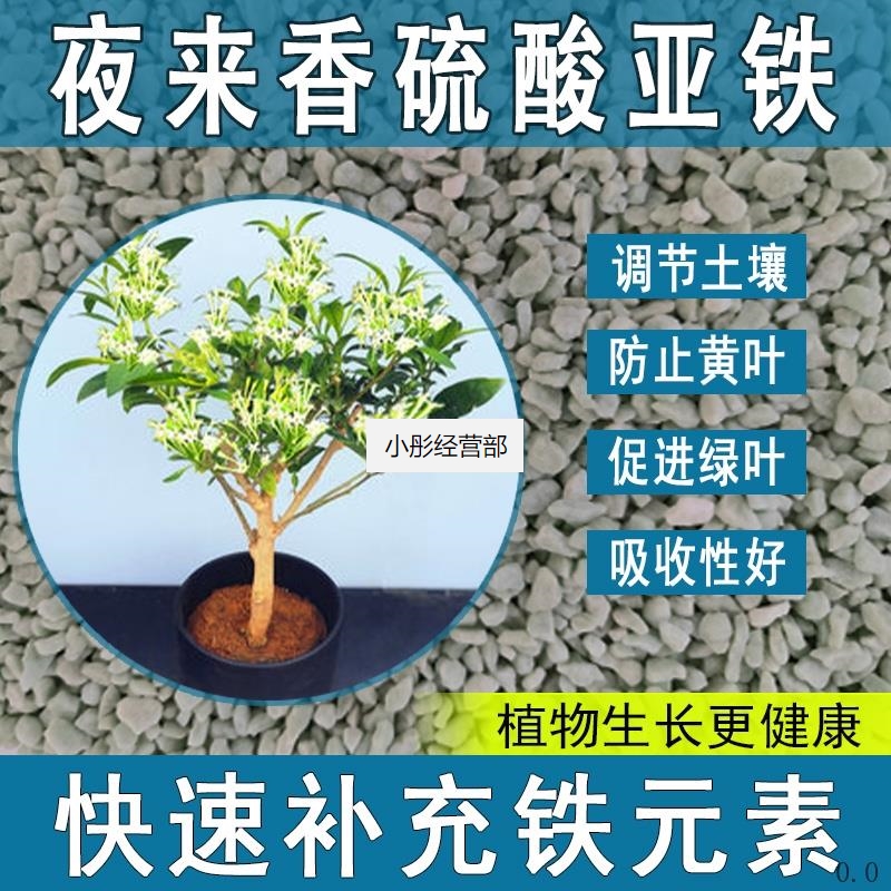 夜来香硫酸亚铁花肥料养花绿植通用调节生长喜酸植物专用肥