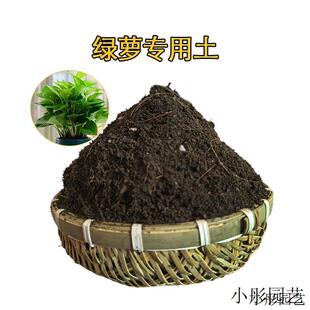 绿萝营养土种花养花绿萝专用土壤肥料家用盆栽花卉土有机种植泥土