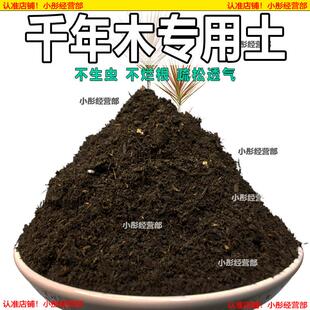千年木专用土肥料盆栽土壤园艺养花育苗花土阳台千年木营养土蓬松