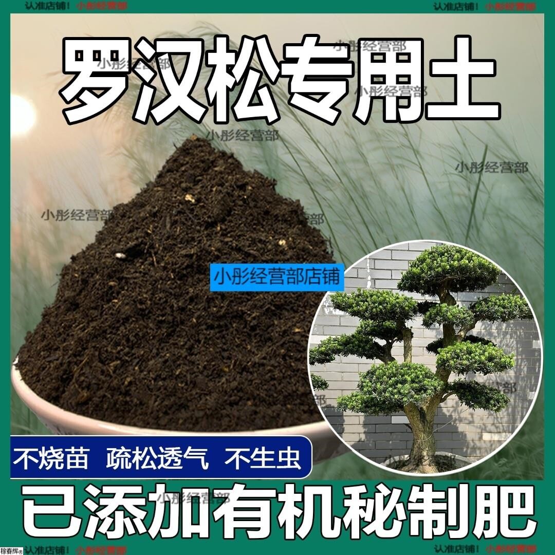 罗汉松专用土罗汉松专用肥料营养土盆栽土养花种花土种植土壤通用