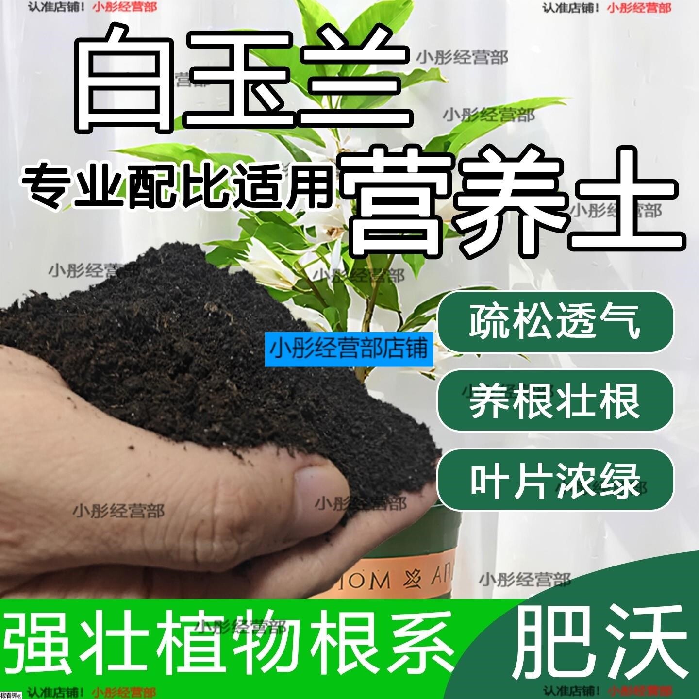 白玉兰专用土白兰花专用营养土盆栽土养花种花土通用种植土壤肥料