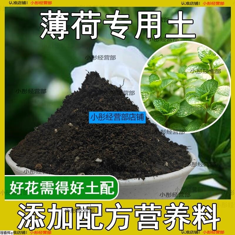 薄荷专用土薄荷土盆栽种植土养花营养土通用种花土壤绿植有机肥料