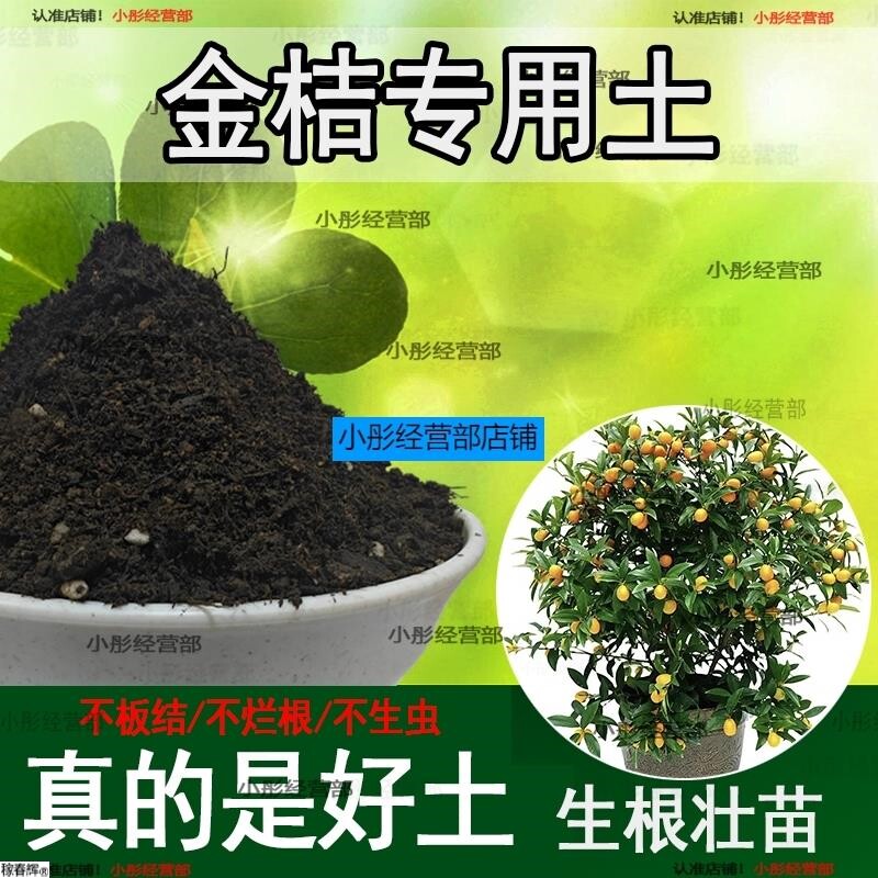金桔专用土橘子树专用营养土盆栽养花种花土通用种植有机土壤肥料