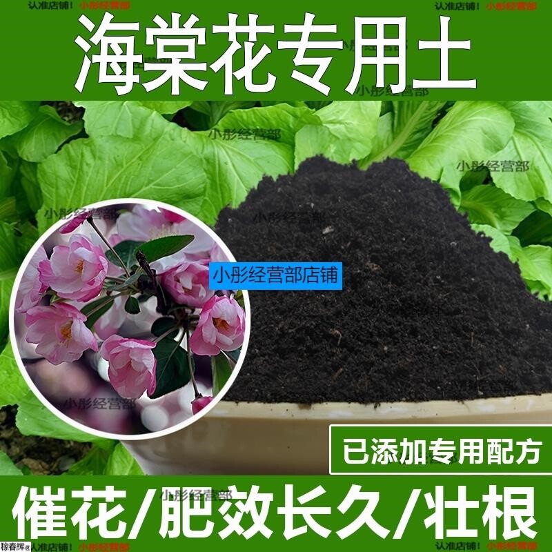 海棠花专用土海棠花专用营养土酸性土种植土通用土有机土肥料土壤