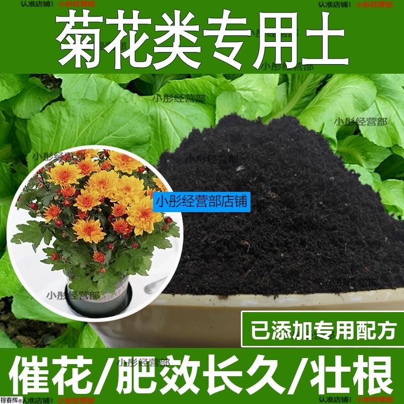 菊花类专用土菊花类专用营养土酸性土种植土通用土有机土肥料土壤