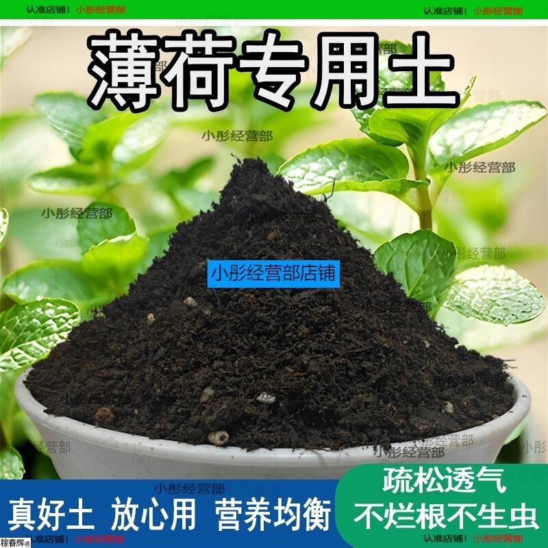 薄荷专用土薄荷土盆栽种植土养花营养土通用种花土壤绿植有机肥料