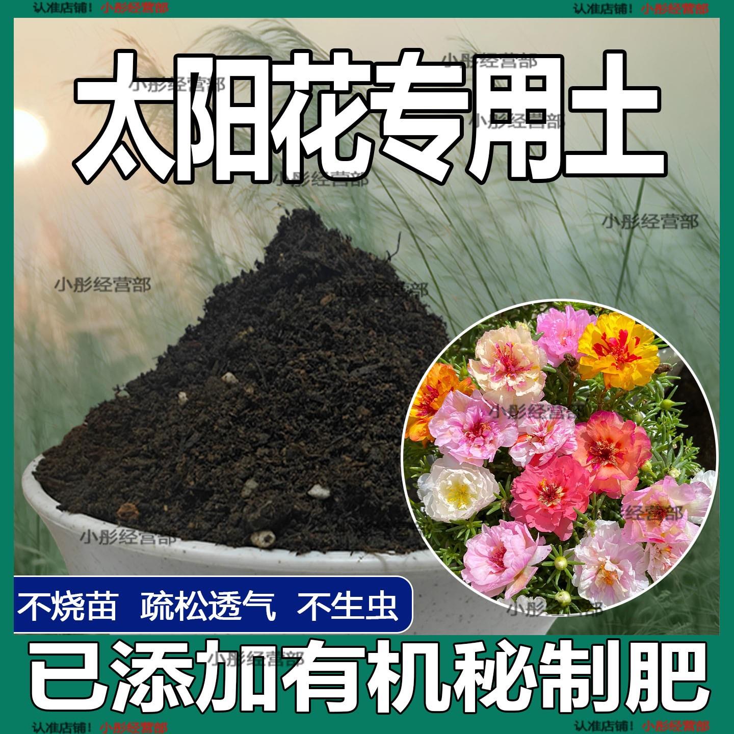 太阳花专用土花卉种植土壤太阳花营养土养花种花肥料盆栽有机花土