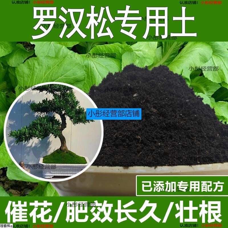 罗汉松专用土罗汉松专用营养土酸性土种植土通用土有机土肥料土壤