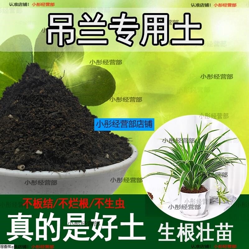 吊兰专用土肥料吊兰营养土室内绿植盆栽土壤天然种花土花卉种植土