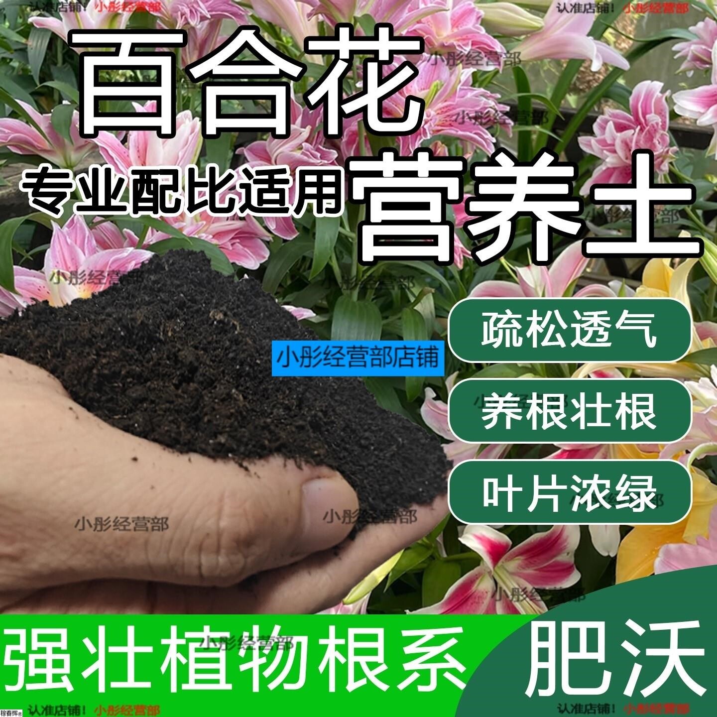 土香水百合花专用营养土营养庭院土壤用品阳台花园养花肥料植物土