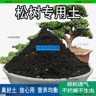 松树专用土五针松罗汉松黑松黄山松营养肥土营养土酸性土壤盆景土