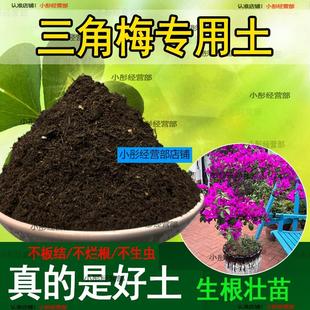 三角梅专用营养土家庭园艺土盆栽通用泥土种植花卉绿植培养土肥料