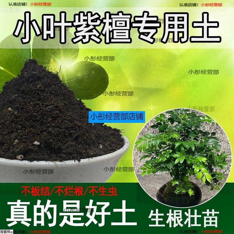 小叶紫檀专用土盆栽配方肥料小叶紫檀营养土透气泥土壤养花种植土