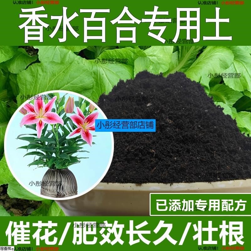 香水百合专用土香水百合专用营养土酸性土种植土通用土有机土肥料