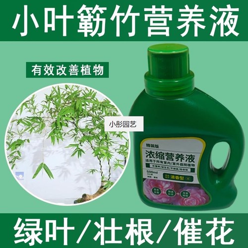 小叶簕竹营养液通用型小叶簕竹专用营养液花肥绿植水培植物肥料
