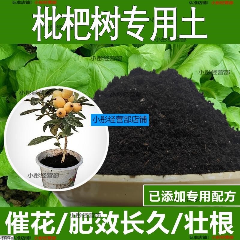 枇杷树专用土枇杷树专用营养土酸性土种植土通用土有机土肥料土壤