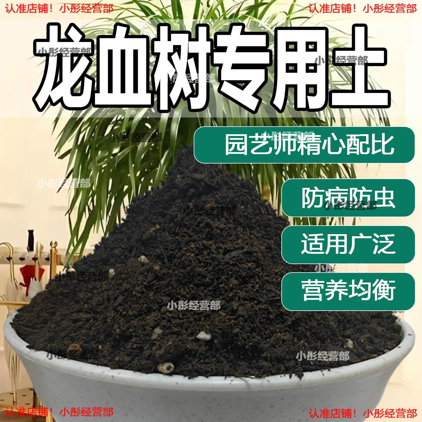 栽种龙血树专用土壤肥料通用型混合专用通用花土蓬松泥土无菌土壤