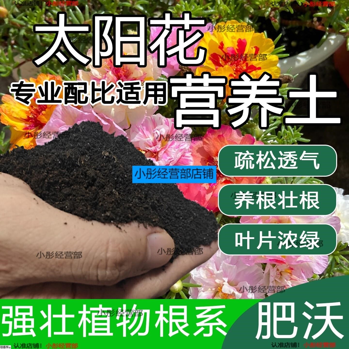 太阳花专用土花卉种植土壤太阳花营养土养花种花肥料盆栽有机花土