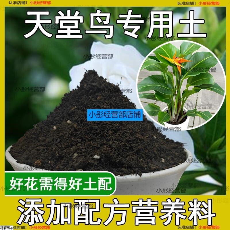 天堂鸟专用土盆栽养花泥土家庭种植土壤透气泥土天堂鸟营养土肥料