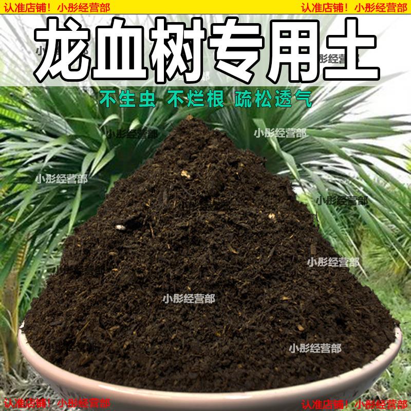 栽种龙血树专用土壤肥料通用型混合专用通用花土蓬松泥土无菌土壤