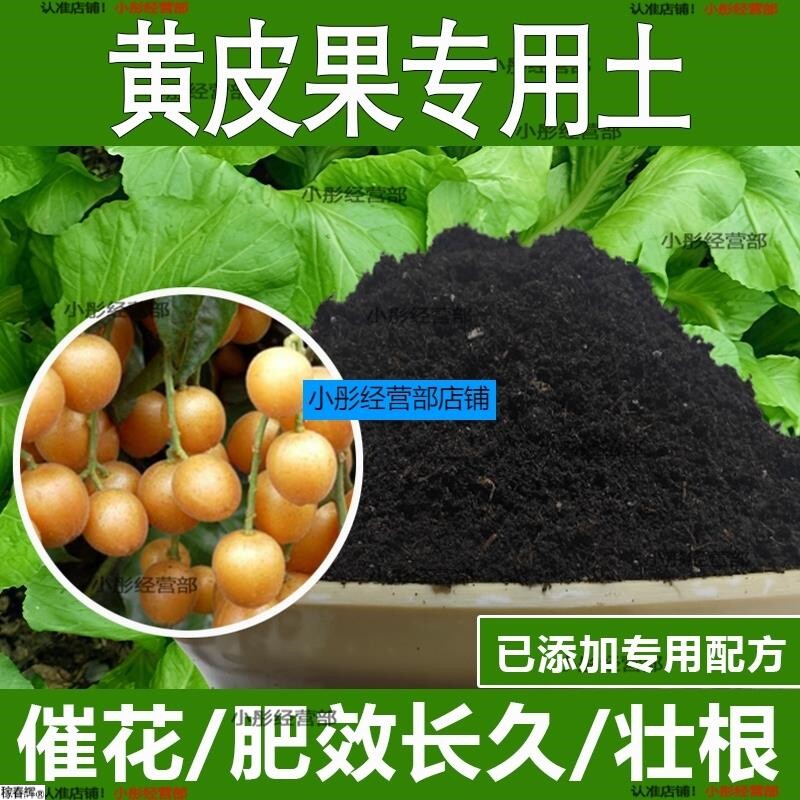 黄皮果专用土黄皮果专用营养土酸性土种植土通用土有机土肥料土壤