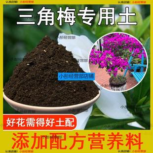 三角梅专用营养土家庭园艺土盆栽通用泥土种植花卉绿植培养土肥料