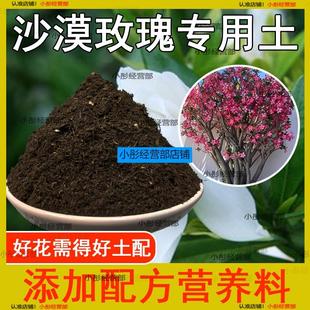 沙漠玫瑰专用土养花盆栽土沙漠玫瑰营养土种植土肥料微酸性土壤