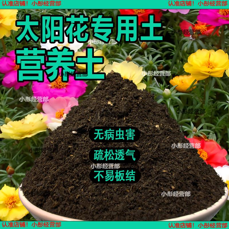 太阳花专用土花卉种植土壤太阳花营养土养花种花肥料盆栽有机花土