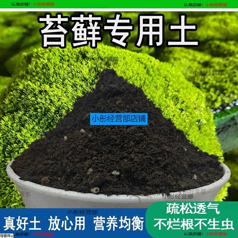苔藓专用土苔藓花营养土微景观专用土通用盆栽种植花土壤肥料泥土