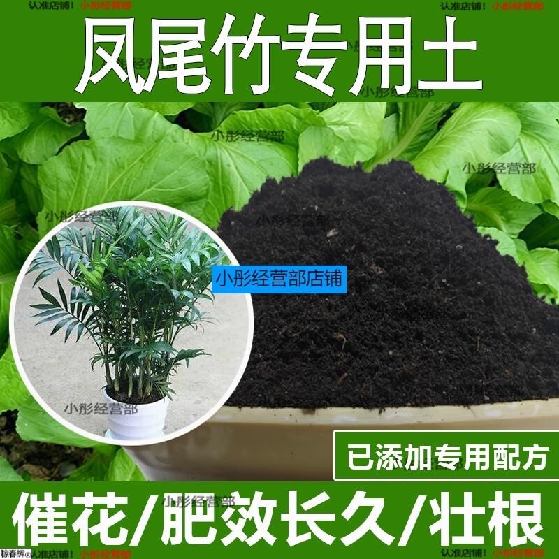 凤尾竹专用土凤尾竹专用营养土酸性土种植土通用土有机土肥料土壤