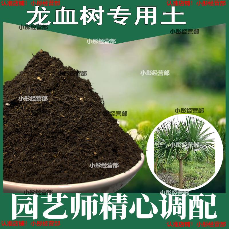 栽种龙血树专用土壤肥料通用型混合专用通用花土蓬松泥土无菌土壤
