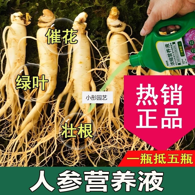 人参营养液通用型人参专用营养液花肥绿植液体植物肥料花肥浓缩液