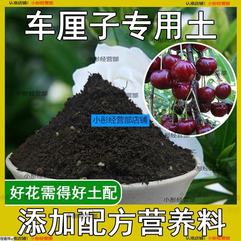 车厘子专用土樱桃树专用营养土盆栽土养花种花土通用种植土壤肥料