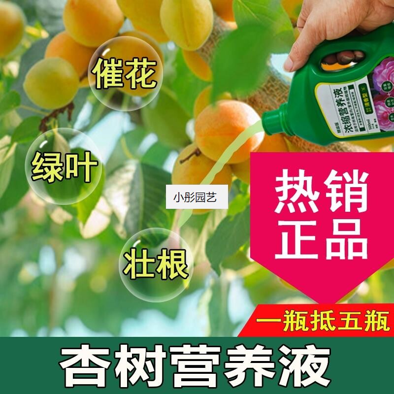 杏树营养液通用型杏树专用营养液花肥绿植液体植物肥料花肥浓缩液