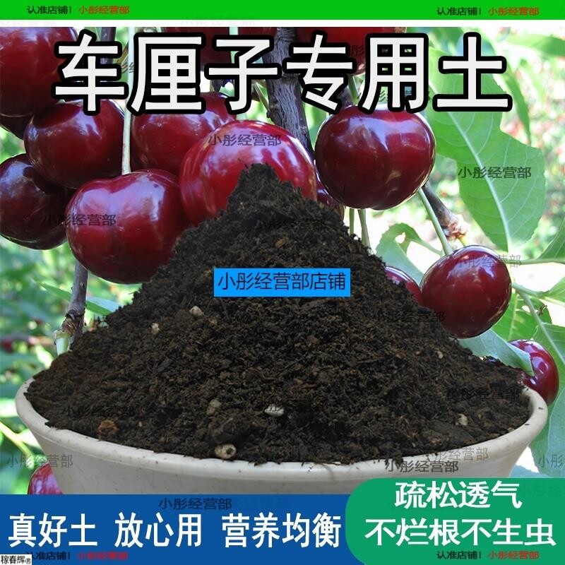 车厘子专用土樱桃树专用营养土盆栽土养花种花土通用种植土壤肥料