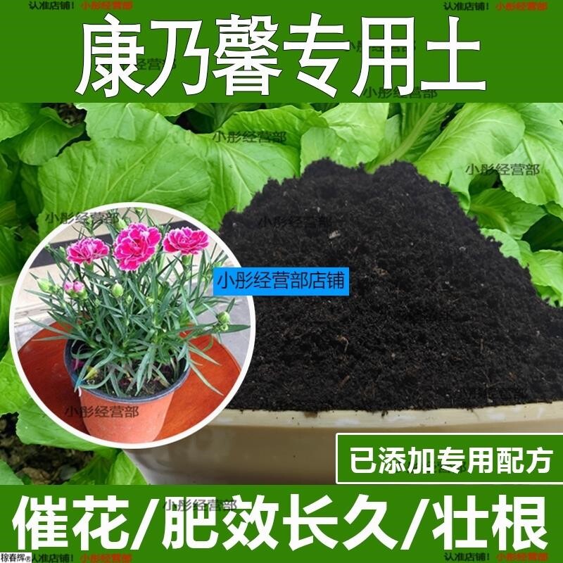 康乃馨专用土康乃馨专用营养土酸性土种植土通用土有机土肥料土壤