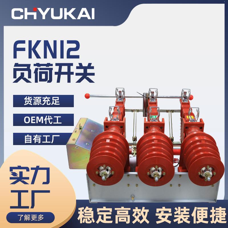 户内高压负荷开关FKN12-12RD/63125带接地熔断器组合10KV智能