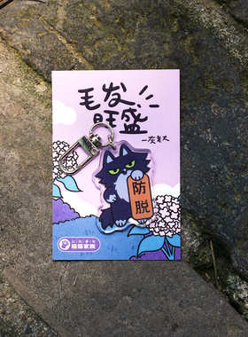 Fri福来大兴善寺猫猫家族祈愿钥匙扣亚克力挂件西安文创礼品上岸