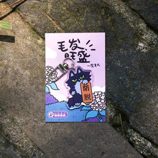 Fri福来大兴善寺猫猫家族祈愿钥匙扣亚克力挂件西安文创礼品上岸
