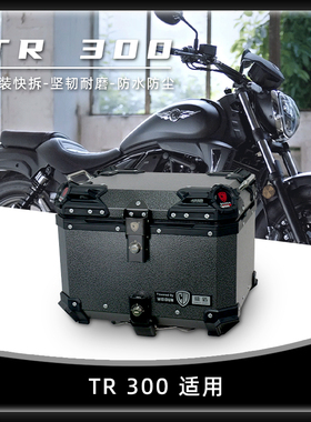威盾摩托车后备箱适用豪爵tr300尾箱镁铝合金巡航快拆后尾箱置物