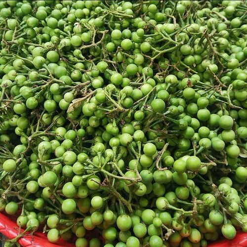 云南特色野生蔬菜小苦子果