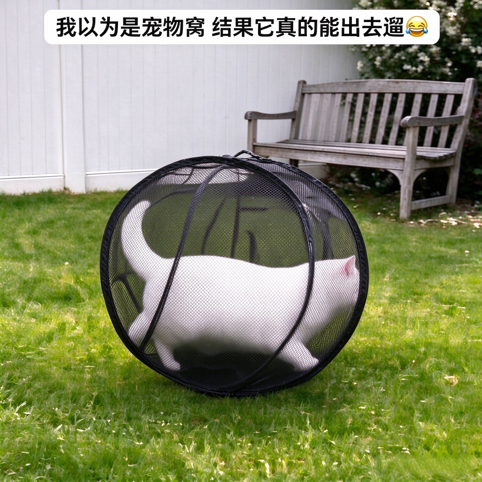 滚动遛猫笼球形外出便携猫帐篷防逃透气网纱猫窝折叠安全网面球