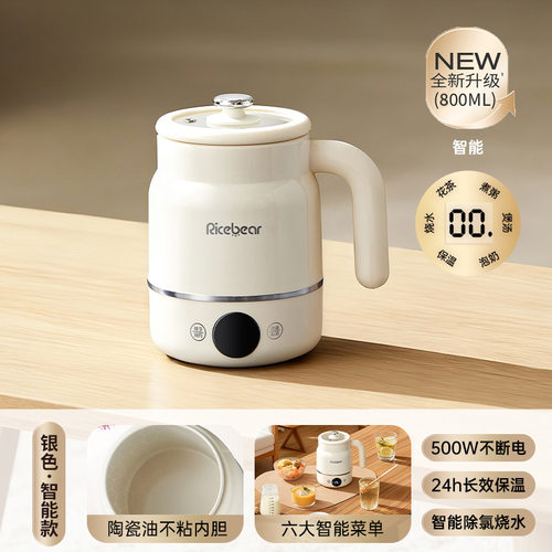 多功能便携烧水壶炖煮一体养生壶家用办公室花茶壶旅行电热壶