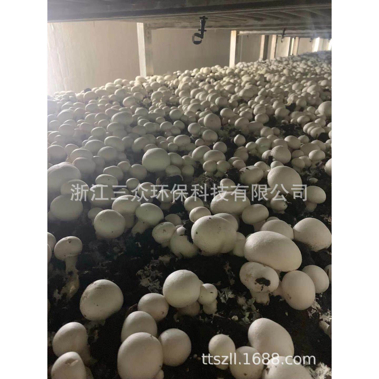 草菇双孢菇机械化生产覆土网布种植床布菇架农业过滤网耐高温