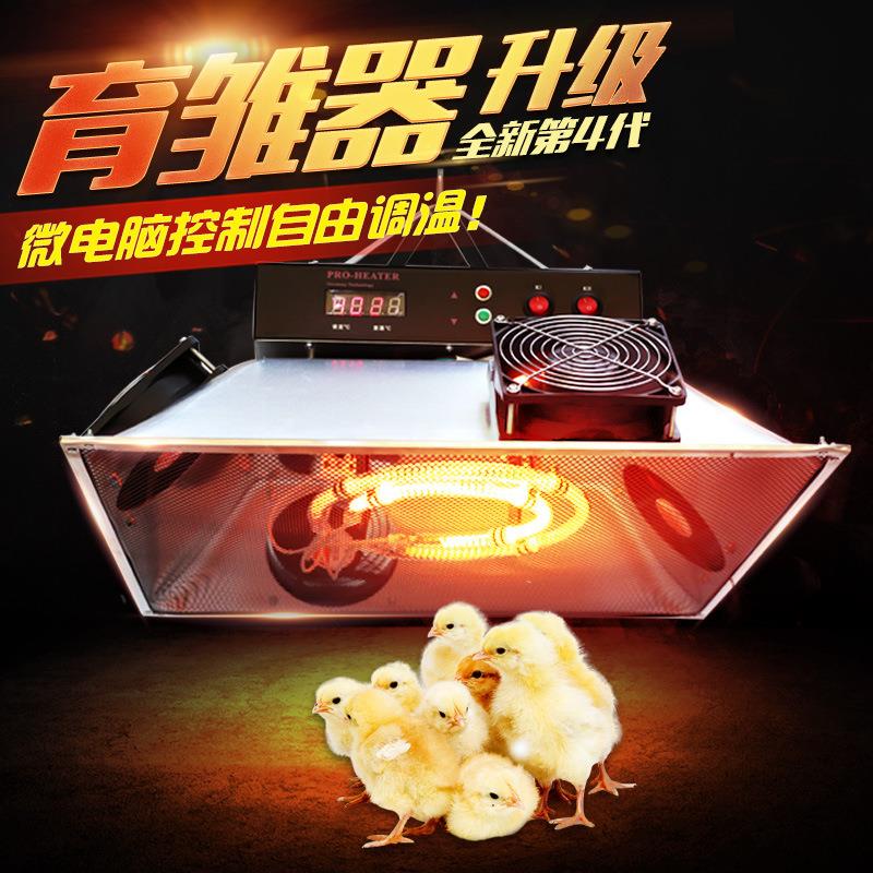 育雏保温器专业版全自动换气鸡舍加温设备小鸡孵化器保温灯保温罩