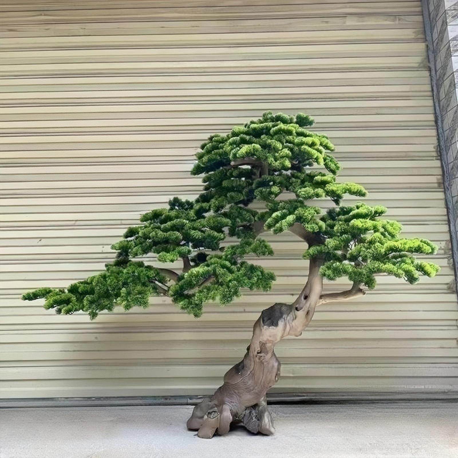 高档仿真迎客松简约风仿真松树中式会所展厅装饰软装仿真树摆件