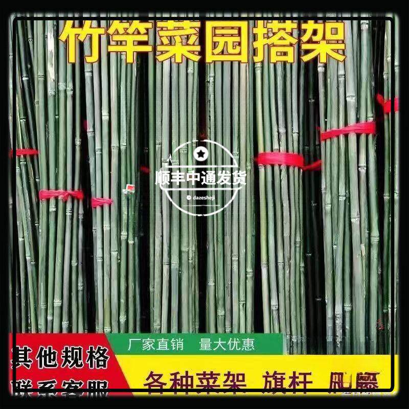 小竹竿蔬菜爬藤竹杆架种菜园搭架豆角架篱笆栅栏彩旗杆细竹子包邮